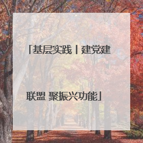 基层实践丨建党建联盟 聚振兴功能