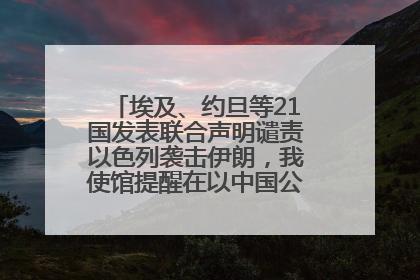 埃及、约旦等21国发表联合声明谴责以色列袭击伊朗，我使馆提醒在以中国公民尽快陆路离境