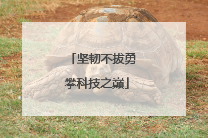 坚韧不拔勇攀科技之巅