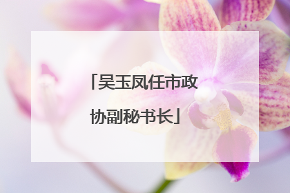 吴玉凤任市政协副秘书长