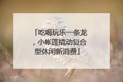 吃喝玩乐一条龙，小帐篷撬动复合型休闲新消费