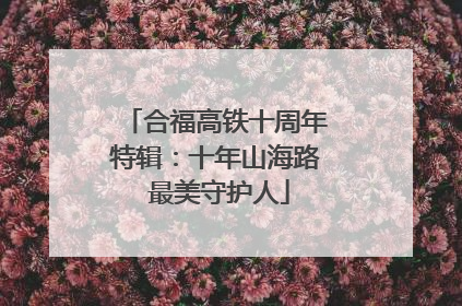 合福高铁十周年特辑：十年山海路 最美守护人