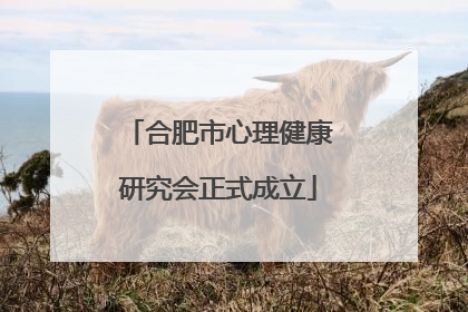 合肥市心理健康研究会正式成立