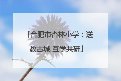 合肥市杏林小学：送教古城 互学共研