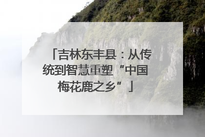 吉林东丰县：从传统到智慧重塑“中国梅花鹿之乡”