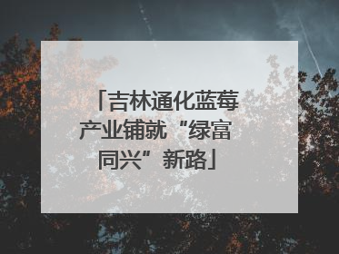 吉林通化蓝莓产业铺就“绿富同兴”新路