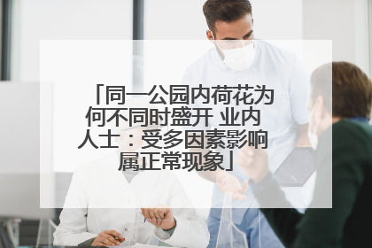 同一公园内荷花为何不同时盛开 业内人士：受多因素影响 属正常现象