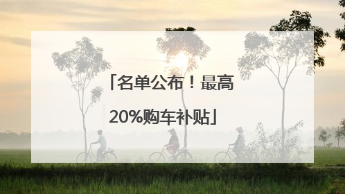 名单公布！最高20%购车补贴