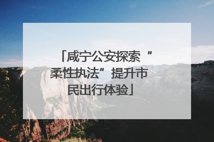 咸宁公安探索“柔性执法”提升市民出行体验