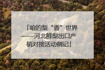 咱的梨“香”世界——河北鲜梨出口产销对接活动侧记