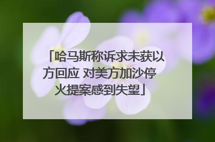 哈马斯称诉求未获以方回应 对美方加沙停火提案感到失望
