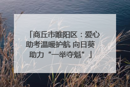商丘市睢阳区：爱心助考温暖护航 向日葵助力“一举夺魁”