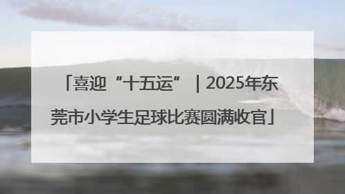 喜迎“十五运”｜2025年东莞市小学生足球比赛圆满收官