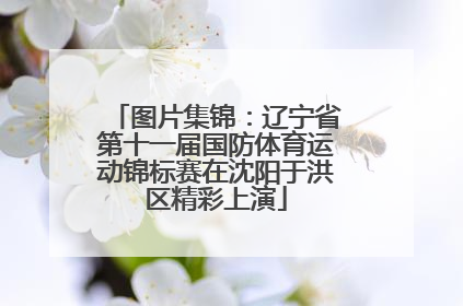 图片集锦：辽宁省第十一届国防体育运动锦标赛在沈阳于洪区精彩上演