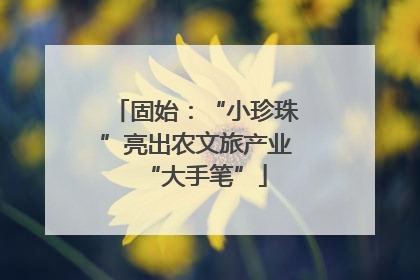固始：“小珍珠”亮出农文旅产业“大手笔”