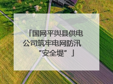 国网平舆县供电公司筑牢电网防汛“安全堤”