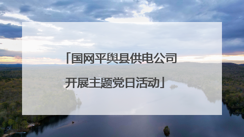 国网平舆县供电公司开展主题党日活动