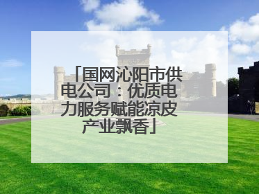 国网沁阳市供电公司：优质电力服务赋能凉皮产业飘香