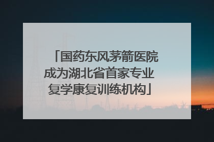 国药东风茅箭医院成为湖北省首家专业复学康复训练机构