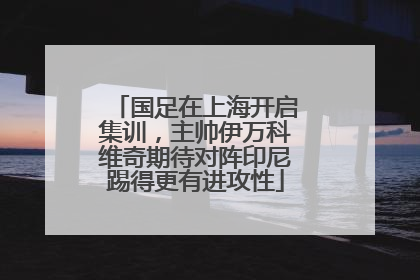 国足在上海开启集训，主帅伊万科维奇期待对阵印尼踢得更有进攻性