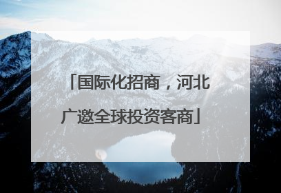 国际化招商，河北广邀全球投资客商