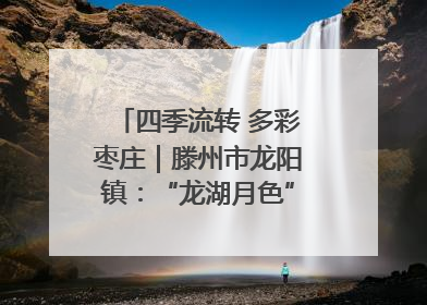 四季流转 多彩枣庄｜滕州市龙阳镇：“龙湖月色”向日葵花海 绘就乡村振兴新画卷