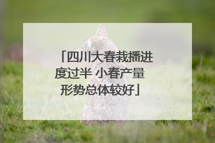 四川大春栽播进度过半 小春产量形势总体较好
