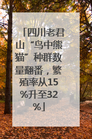 四川老君山“鸟中熊猫”种群数量翻番，繁殖率从15%升至32%