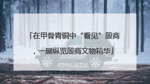 在甲骨青铜中“看见”殷商，一展纵览殷商文物精华