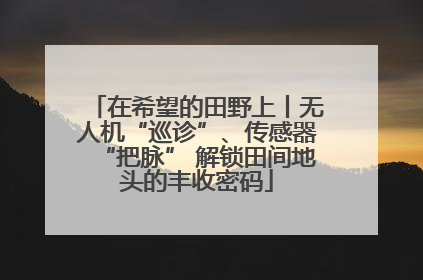 在希望的田野上丨无人机“巡诊”、传感器“把脉” 解锁田间地头的丰收密码