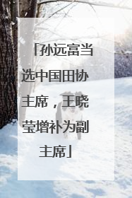孙远富当选中国田协主席，王晓莹增补为副主席