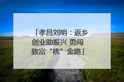 孝昌刘明：返乡创业助振兴 勇闯致富“桃”金路