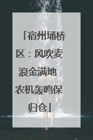 宿州埇桥区：风吹麦浪金满地 农机轰鸣保归仓