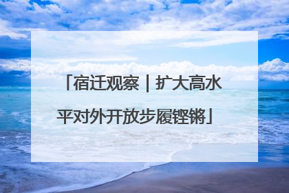 宿迁观察｜扩大高水平对外开放步履铿锵