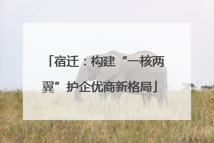 宿迁：构建“一核两翼”护企优商新格局