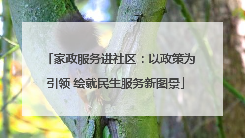家政服务进社区：以政策为引领 绘就民生服务新图景
