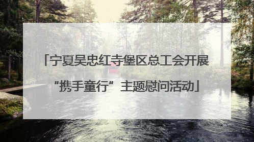 宁夏吴忠红寺堡区总工会开展“携手童行”主题慰问活动