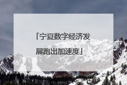 宁夏数字经济发展跑出加速度