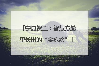 宁夏贺兰：智慧方舱里长出的“金疙瘩”