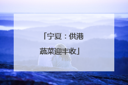 宁夏：供港蔬菜迎丰收