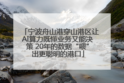 宁波舟山港穿山港区让AI算力既懂业务又能决策 20年的数据“喂”出更聪明的港口