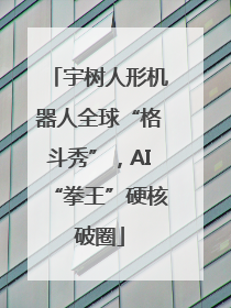 宇树人形机器人全球“格斗秀”，AI“拳王”硬核破圈