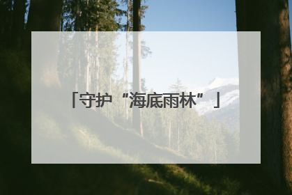 守护“海底雨林”