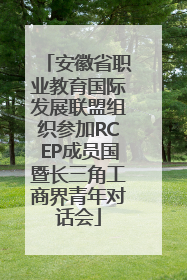 安徽省职业教育国际发展联盟组织参加RCEP成员国暨长三角工商界青年对话会