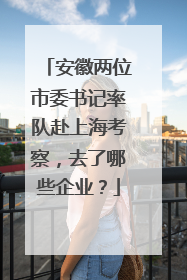 安徽两位市委书记率队赴上海考察，去了哪些企业？