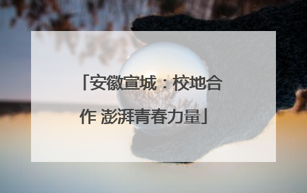 安徽宣城：校地合作 澎湃青春力量