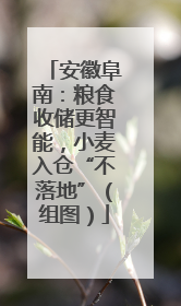 安徽阜南：粮食收储更智能，小麦入仓“不落地”（组图）