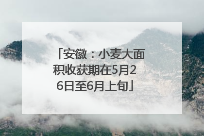 安徽：小麦大面积收获期在5月26日至6月上旬