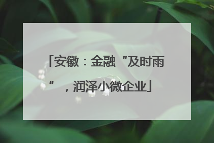 安徽：金融“及时雨”，润泽小微企业