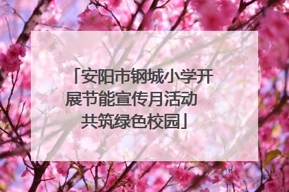 安阳市钢城小学开展节能宣传月活动 共筑绿色校园